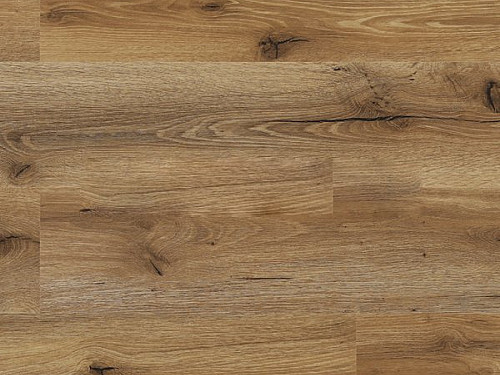 EXPERTO SPC 30 Dub gatto 1036H-2