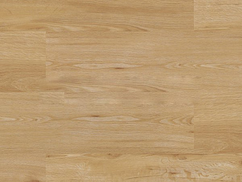 EXPERTO SPC 30 Dub metta 6110-71