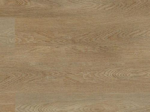 EXPERTO SPC 30 Dub tener 3033-011