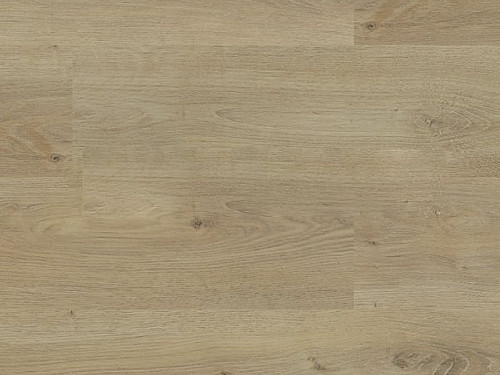 EXPERTO SPC 30 Dub targa 2081L-02