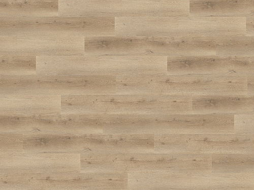 FLOOR FOREVER XL Dub kartáčovaný prírodný 79999