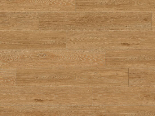 GERFLOR Creation 55 Aquinoah honey GERC55 1706