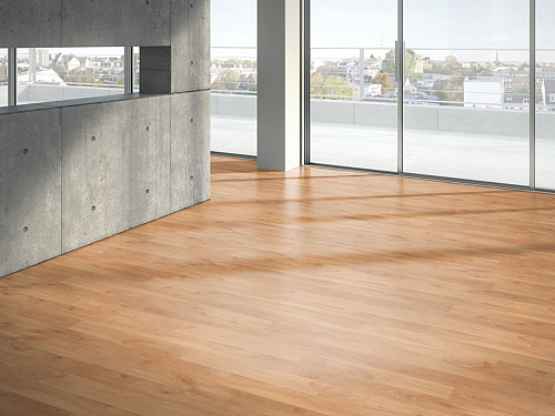 PARADOR Basic 200 Buk štruktúra dreva 1440984