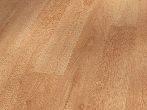 PARADOR Basic 200 Buk štruktúra dreva 1440984