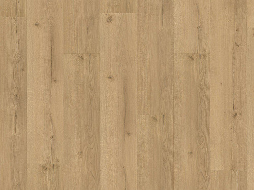 PARADOR Basic 30 Dub Infinity prírodné svieži štruktúra 1730634