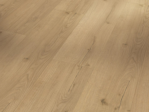 PARADOR Basic 2.0 Dub Infinity prírodné svieži štruktúra 1730799