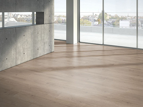 PARADOR Basic 2.0 Dub Infinity sivý svieži štruktúra 1730800