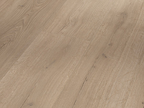 PARADOR Basic 2.0 Dub Infinity sivý svieži štruktúra 1730800